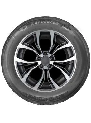 Легковая шина Autogreen SmartChaser-SC1 195/60 R15 88V