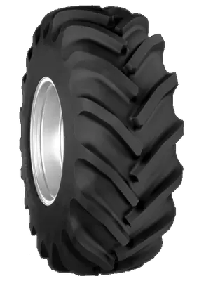 Спецшина Titan AG55V 600/70-30 155A8/B TL