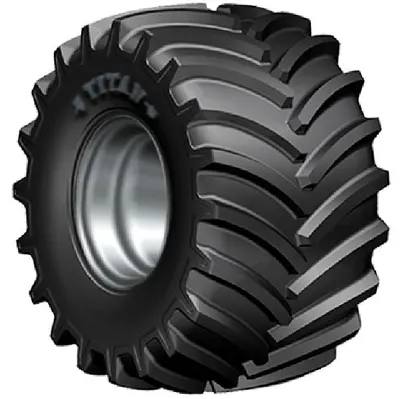Спецшина Titan AG56V 650/85-38 173D TL