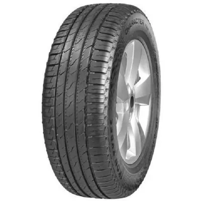 Легковая шина Ikon (Nokian Tyres) Character Aqua SUV (Nordman S2 SUV) 255/50 R20 109V